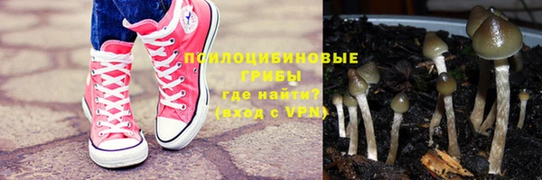 синтетический гашиш Алексеевка