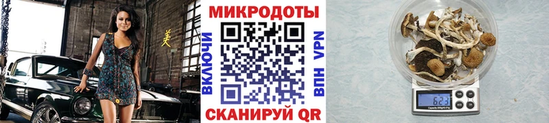 купить  цена  Кемь  Псилоцибиновые грибы ЛСД 